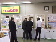 視察