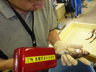 近赤外線による脂質検査