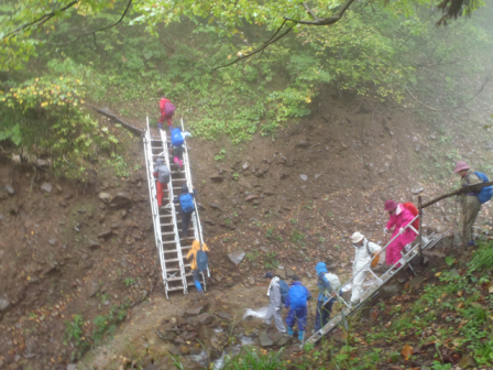 はしごを上っている写真