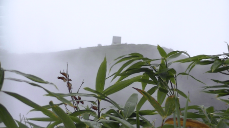 山頂が近づいてきます