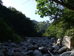 駒鳥小屋への分岐から上流を望む