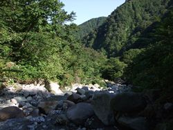 駒鳥小屋への分岐から下流を望む