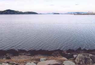 湊山