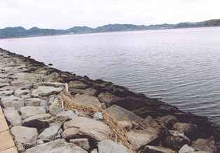 湊山
