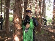高いところも枝打ち
