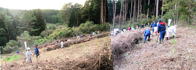 植樹会場全景