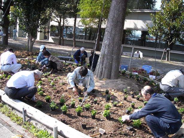 花壇植え替え