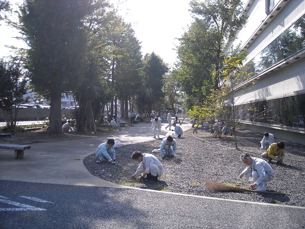 草取り・落ち葉拾い