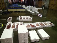 賀露、酒津、浜村、夏泊、青谷、泊の水揚げ