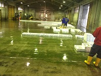 賀露の沿岸の漁獲物
