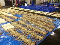 松葉がに（網代）