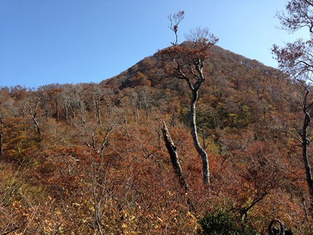 大休峠から矢筈ヶ山方面を望む