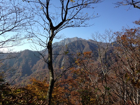 矢筈ヶ山登山途中に後ろを振り返ると雄大な大山