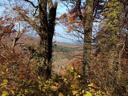 矢筈ヶ山登山途中に香取方面を望む