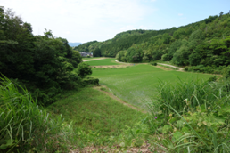 ため池下流状況
