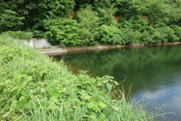 ため池の状況