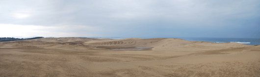 「馬の背」の風景－冷たい風が吹き抜ける砂丘です