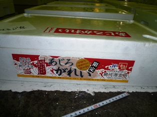 ブランドの「あじろがれい」、本日は１箱でした！