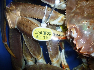 網代ブランドのタグ