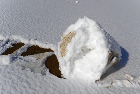 俵雪