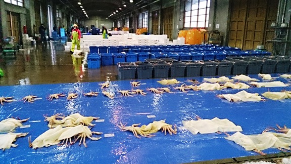 まつばがに