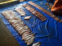 仕立て作業