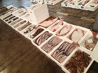 境港小底1隻の水揚げ