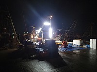 LED作業灯（イルミネーション等に使用するロープ上のLED）