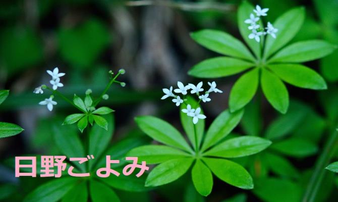 日野ごよみ表紙