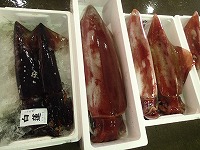 左：アカイカ（紫いか）、右：ソデイカ（赤いか）