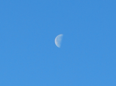 青空の中の月