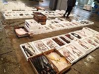 小底の漁獲物
