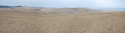 馬の背の風景