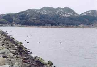 湊山公園