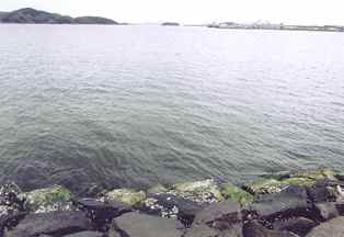 湊山公園