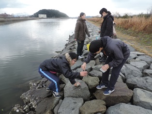 水鳥公園