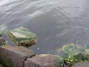 ウインズ