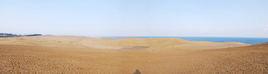 「馬の背」の風景－明るい太陽が砂丘を映し出しています