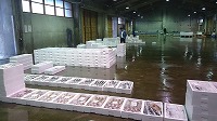 酒津～泊の水揚げ状況