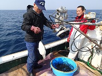 フグはえ縄試験操業（浜村支所の漁船を傭船）
