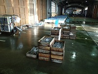 酒津で漁獲されたワカメのみ