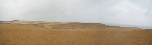 「馬の背」の風景－雨に濡れた砂が広がっています