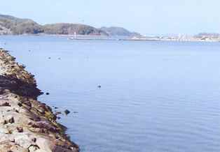 湊山公園
