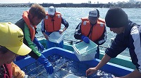 境港での放流の模様