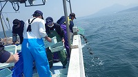 淀江・皆生での放流の模様