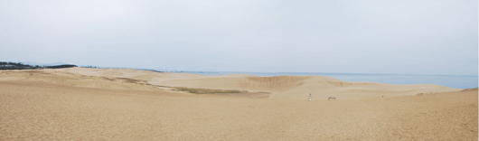 「馬の背」の風景－ボランティアによる一斉清掃が行われます