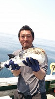 賀露の漁業者と一緒にはえ縄試験操業して、漁獲したトラフグ