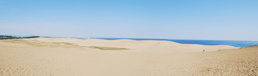 「馬の背」の風景－白砂と紺青の日本海の対比が美しく見えています