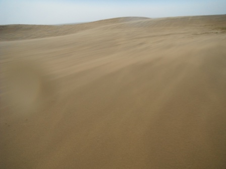 砂丘１