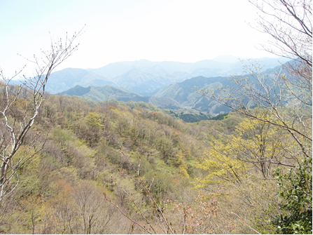 天狗岩付近の眺望